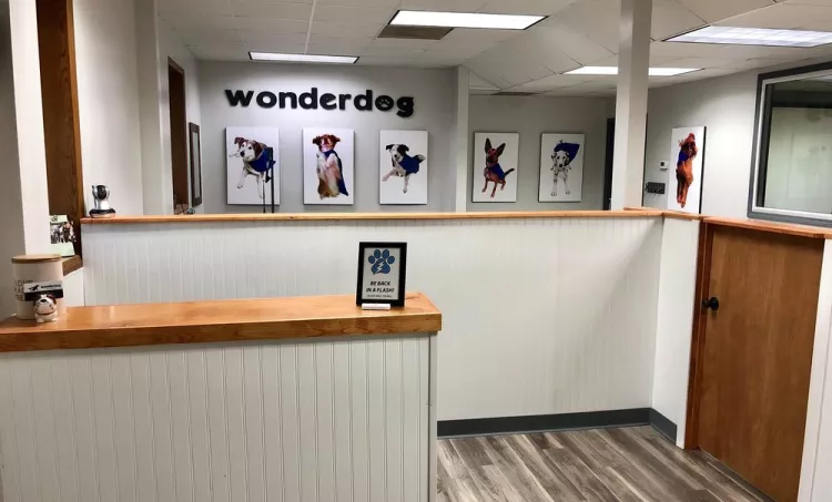 Wonderdog Pet Grooming, Tennessee, Weaverville